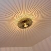 Lepa Plafoniera Nero, 1-Luce