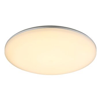 Globo Plafoniera da esterno LED Argento, 1-Luce