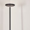 Wonsbek Lampada da terra LED Nero, 1-Luce