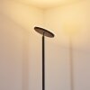 Wonsbek Lampada da terra LED Nero, 1-Luce