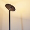 Wonsbek Lampada da terra LED Nero, 1-Luce