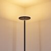 Wonsbek Lampada da terra LED Nero, 1-Luce