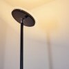 Wonsbek Lampada da terra LED Nero, 1-Luce