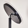 Wonsbek Lampada da terra LED Nero, 1-Luce