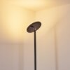 Wonsbek Lampada da terra LED Nero, 1-Luce