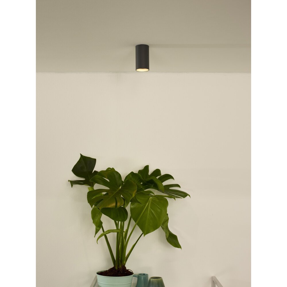 Faretto da soffitto Lucide DELTO LED Grigio, 1-Luce main product photo
