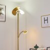 Cazis Lampada da terra LED Ottone, 2-Luci