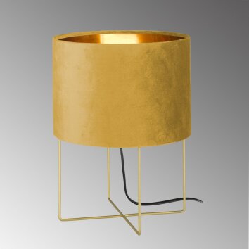 Fischer & Honsel Aura Lampada da tavolo Oro, 1-Luce