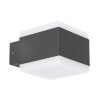 Illuminazione esterna Globo SLICE LED Antracite, 1-Luce, Cambia colore