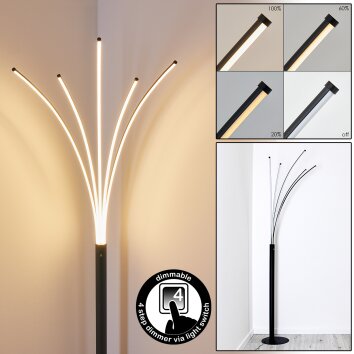 Bakersfield Lampada da terra LED Nero, Bianco, 1-Luce