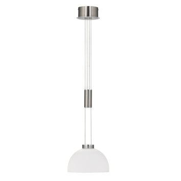 Fischer & Honsel Avignon Lampada a Sospensione LED Nichel lucido, 1-Luce