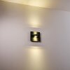 Applique da esterno Haslen LED Antracite, 1-Luce