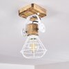 Nifun Plafoniera Marrone, Bianco, 1-Luce