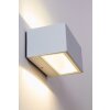 Lutec by Eco Light Applique per esterno LED Bianco, 1-Luce