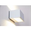 Lutec by Eco Light Applique per esterno LED Bianco, 1-Luce