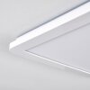 Siguna Plafoniera LED Bianco, 1-Luce