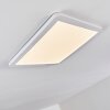 Siguna Plafoniera LED Bianco, 1-Luce