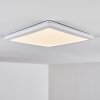 Siguna Plafoniera LED Bianco, 1-Luce