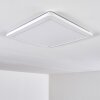 Siguna Plafoniera LED Bianco, 1-Luce