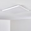 Siguna Plafoniera LED Bianco, 1-Luce