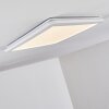 Siguna Plafoniera LED Bianco, 1-Luce