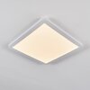 Siguna Plafoniera LED Bianco, 1-Luce