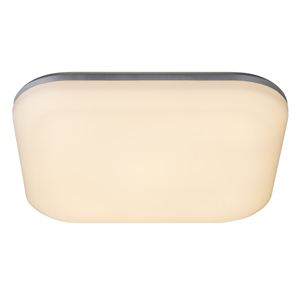 Globo Plafoniera da esterno LED Argento, 1-Luce main product photo