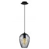 Eglo NEWTOWN Lampada a sospensione Nero, 1-Luce