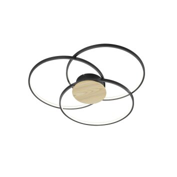 Trio Sedona Plafoniera LED Nero, 1-Luce