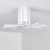 Bangor Plafoniera LED Bianco, 1-Luce