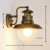 Brilliant Artu Applique per esterno Marrone, Oro, Nero, 1-Luce