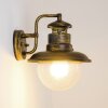 Brilliant Artu Applique per esterno Marrone, Oro, Nero, 1-Luce