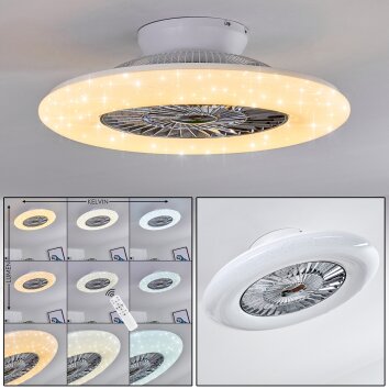 Petrovac ventilatore da soffitto LED Cromo, Bianco, 1-Luce, Telecomando