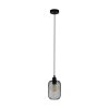 Eglo WRINGTON Lampadario a sospensione Nero, 1-Luce