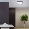 Leuchten-Direkt FLAT Plafoniera LED Nero, 1-Luce, Telecomando