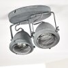 Glostrup Plafoniera LED Grigio, 2-Luci Glostrup Plafoniera LED Grigio, 2-Luci