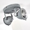 Glostrup Plafoniera LED Grigio, 2-Luci Glostrup Plafoniera LED Grigio, 2-Luci