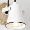 Brilliant Seed Applique Legno chiaro, Bianco, 1-Luce