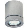 Albert 2140 Plafoniera Argento, 1-Luce