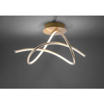 Leuchten-Direkt VIOLETTA Plafoniera LED Oro, 1-Luce