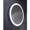 Lutec MOON Applique Argento, 1-Luce Lutec MOON Applique Argento, 1-Luce