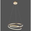 Paul Neuhaus ROMAN Lampada a Sospensione LED Oro, 1-Luce