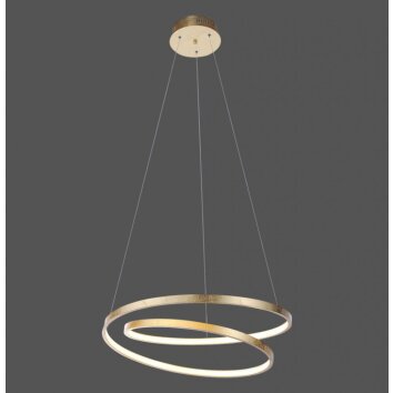 Paul Neuhaus ROMAN Lampada a Sospensione LED Oro, 1-Luce