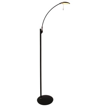 Steinhauer Zenith Lampada da terra LED Nero, 1-Luce