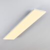 Bankura Plafoniera LED Bianco, 1-Luce, Telecomando