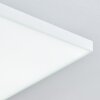 Bankura Plafoniera LED Bianco, 1-Luce, Telecomando