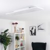 Bankura Plafoniera LED Bianco, 1-Luce, Telecomando