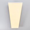 Bankura Plafoniera LED Bianco, 1-Luce, Telecomando