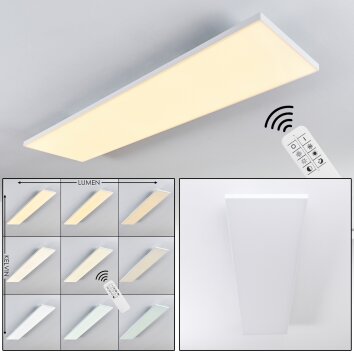 Bankura Plafoniera LED Bianco, 1-Luce, Telecomando