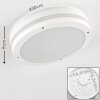 Wollongong Plafoniera da esterno LED Bianco, 1-Luce